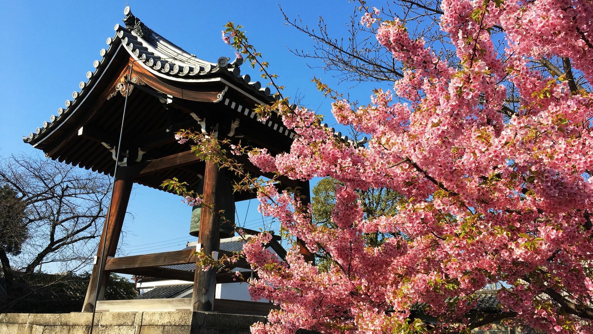 Stay Sakura Kyoto Toji West I Bagian luar foto