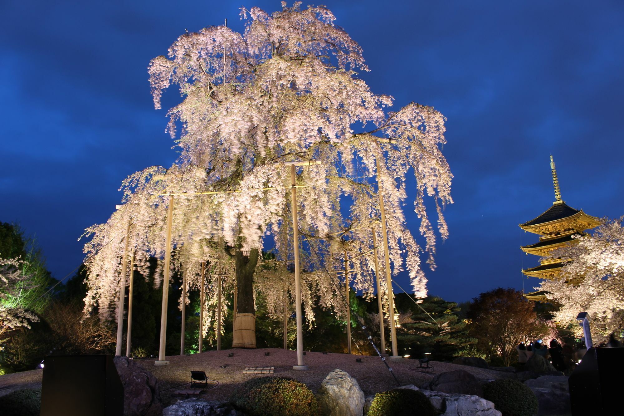 Stay Sakura Kyoto Toji West I Bagian luar foto