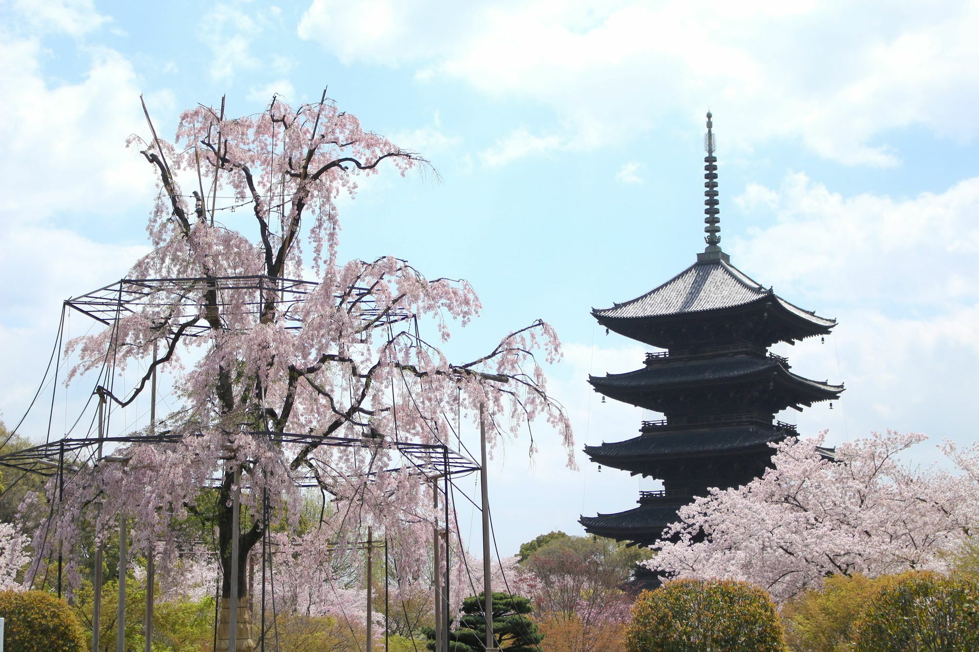 Stay Sakura Kyoto Toji West I Bagian luar foto