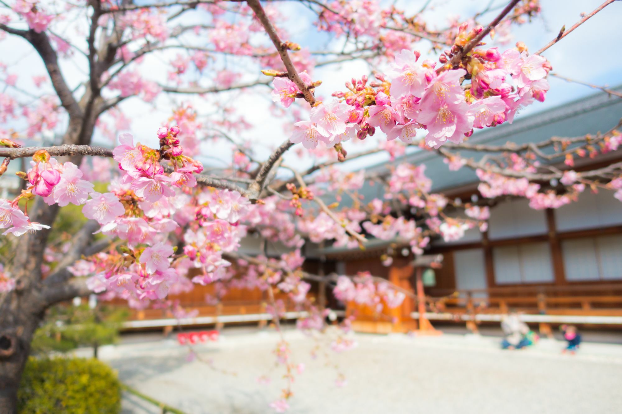 Stay Sakura Kyoto Toji West I Bagian luar foto